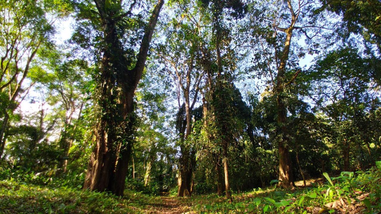Gran Gavilan Del Sarapiqui Lodge Extérieur photo