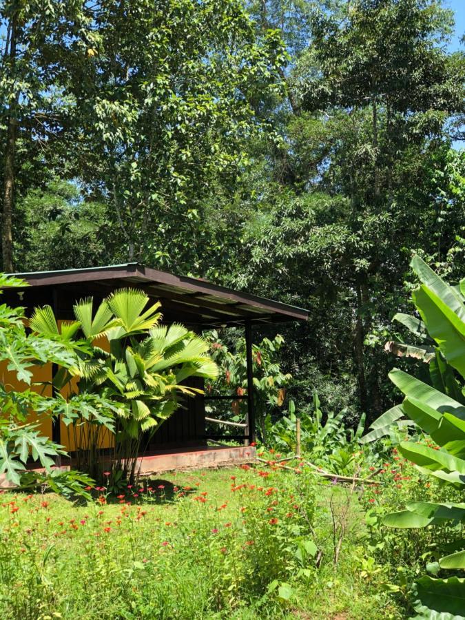 Gran Gavilan Del Sarapiqui Lodge Extérieur photo